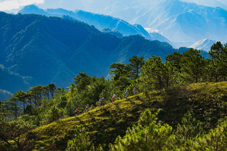 Engineered for Elevation: The Ahon Way - Ahon.ph