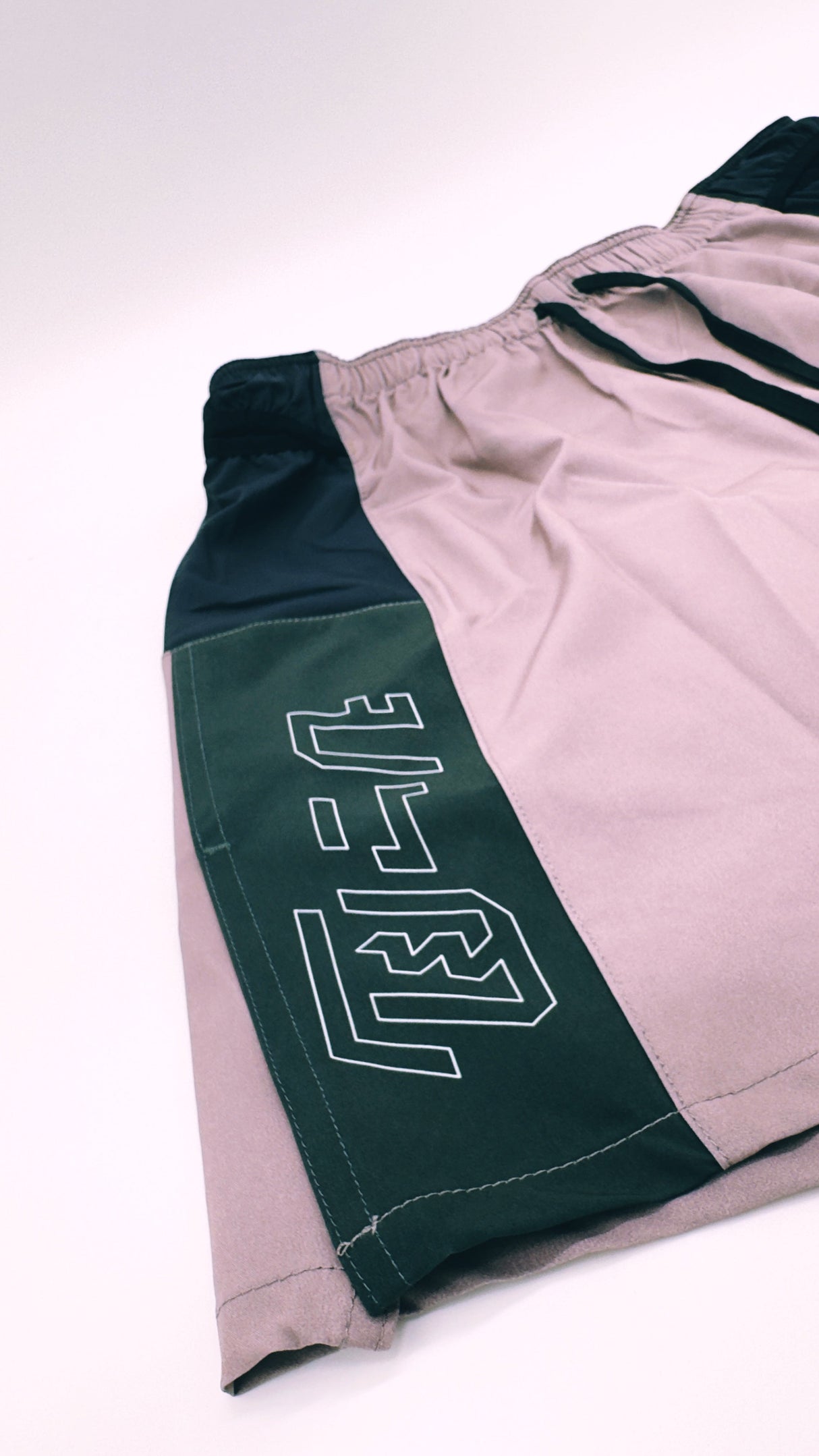 Trail Shorts Pro (colorway 3) 5 - inch inseam - unisex - Ahon.ph